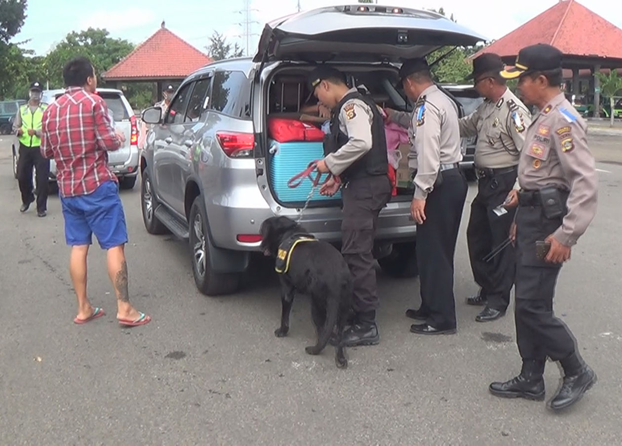 Pemudik Dari Jawa Diperiksa Anjing Pelacak Patrolipost