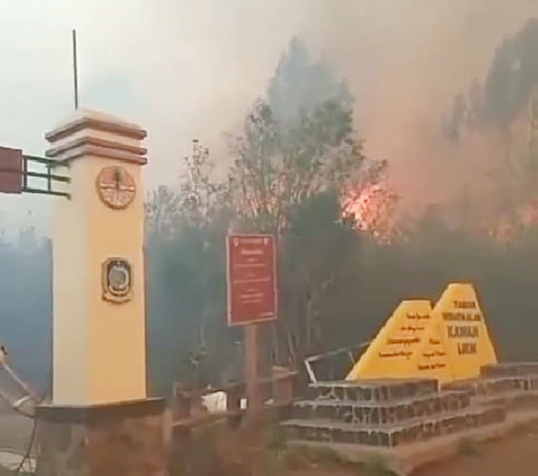 Hutan Sekitar Kawah Ijen Banyuwangi Terbakar Hebat Patrolipost Hutan Sekitar Kawah Ijen Banyuwangi Terbakar Hebat Patrolipost