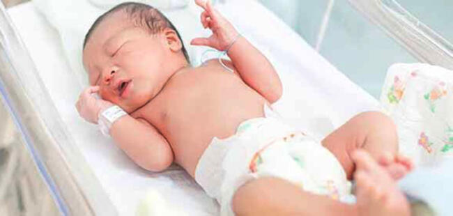 13 020 Bayi Lahir Di Indonesia 1 Januari 2020 Patrolipost
