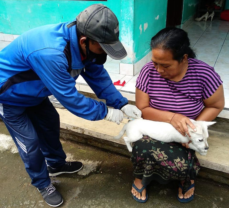 Februari, 11 Desa di Bangli Jadi Sasaran Vaksinasi Rabies - PATROLIPOST