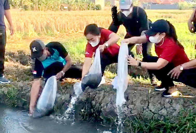 TP PKK Denpasar dan Komunitas Subak Lungatad Gelar Kegiatan Pelestarian