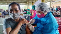 vaksin bangli