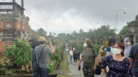 suasana kunjungan wisatawan di desa tradisional penglipuran ,kelurahan kubu, bangli