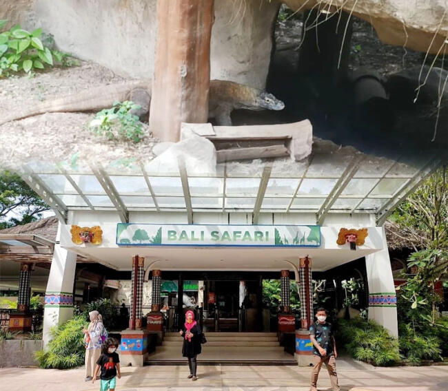 bali safari