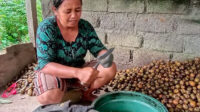 pengolahan buah kolang kaling yang berlokasi di banjar susut kaja, desa kecamatan susut, bangli.