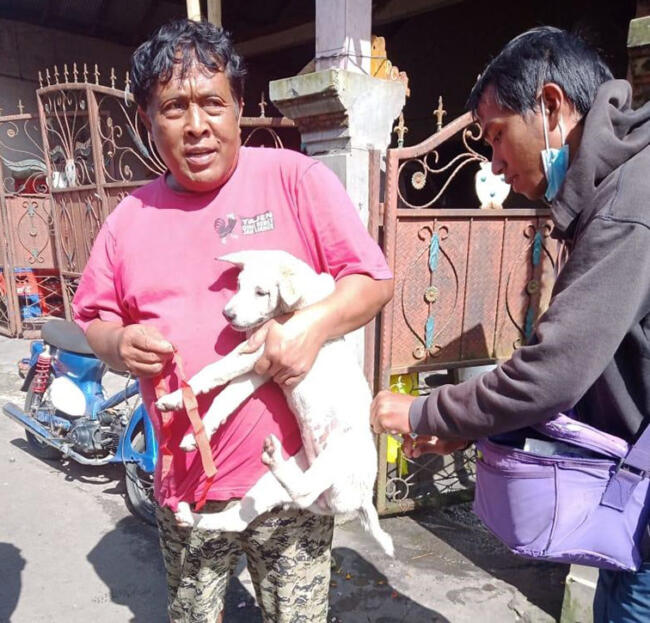 suasana vaksinasi anjing oleh petugas dinas pkp bangl;i