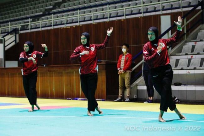 pencak silat