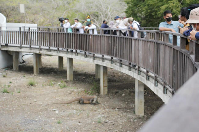 pulau komodo3