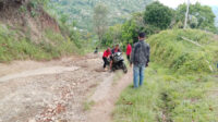 jalan rusak