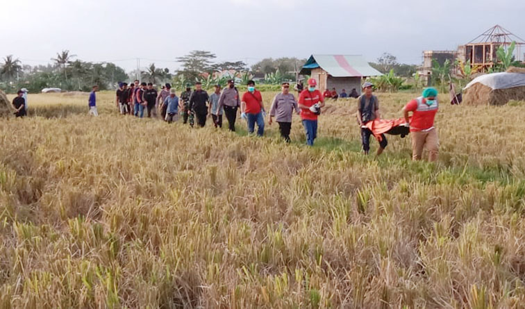 meninggal di sawah