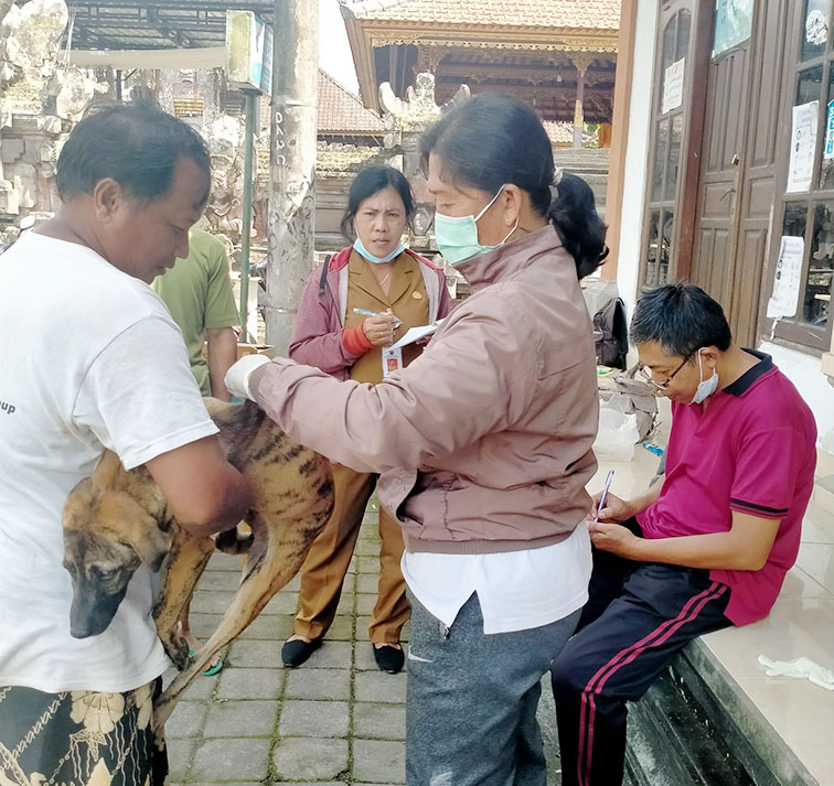 vaksinasi rabies