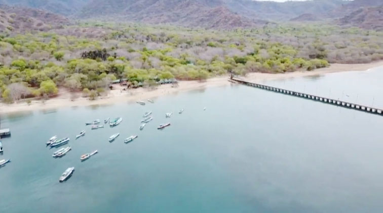 pulau komodo