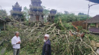 pura puseh