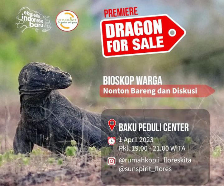 dragon for sale1