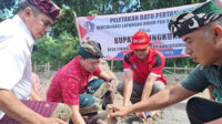 batu pertama 3333333