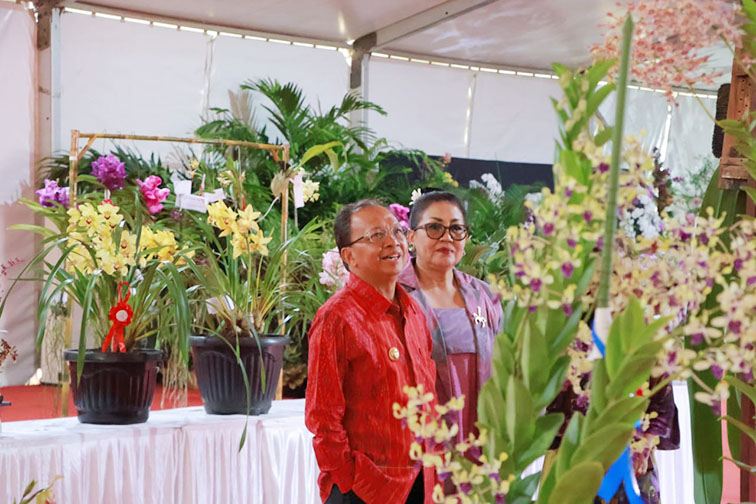 pameran anggrek